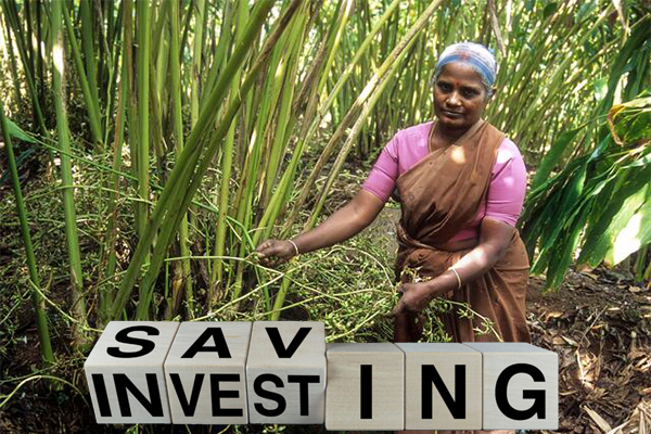 investment-farming